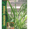 Лемонграсс Лимонное Сорго [Семена редких растений] купить с доставкой