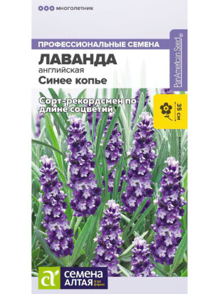 Лаванда Синее копье узколистная [Семена алтая]