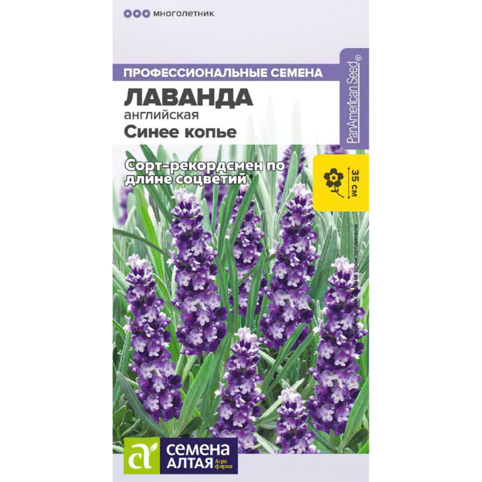 Лаванда Синее копье узколистная [Семена алтая] купить с доставкой