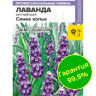 Лаванда Синее копье узколистная + подарок [Семена алтая] купить с доставкой