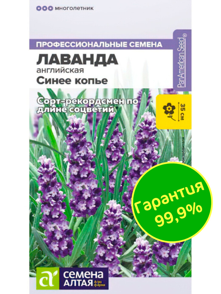 Лаванда Синее копье узколистная [Семена алтая] купить с доставкой