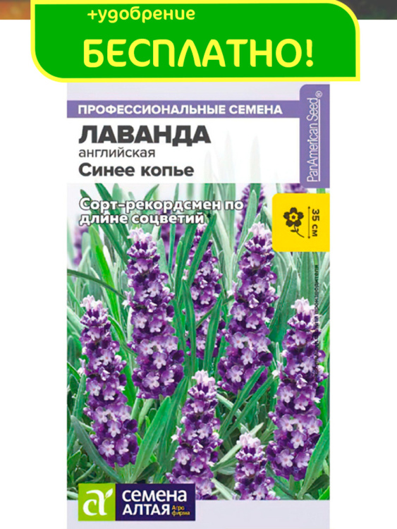 Лаванда Синее копье узколистная + подарок [Семена алтая] купить с доставкой