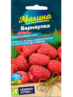 Малина Барнаулка красная [Семена алтая]