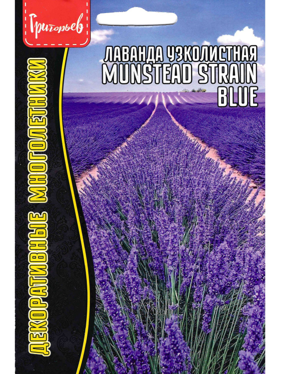 Лаванда Munstead strain blue узколистная [Семена редких растений] купить с доставкой
