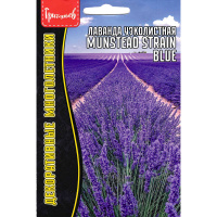 Лаванда Munstead strain blue узколистная [Семена редких растений]