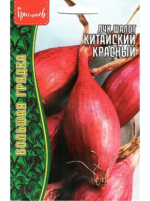 Лук шалот Китайский Красный [Семена редких растений]