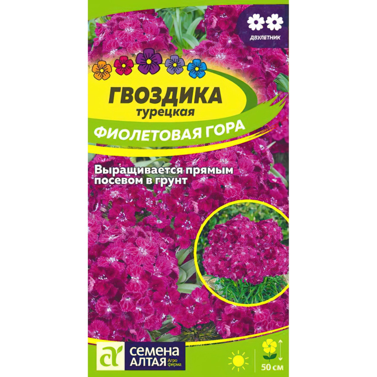 Гвоздика турецкая Фиолетовая гора [Семена алтая] купить с доставкой