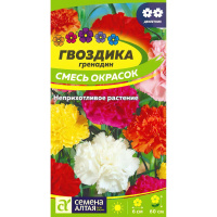 Гвоздика Гренадин Смесь [Семена алтая]