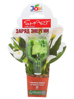 Заряд энергии для комнатных растений 30 мл [JOY]