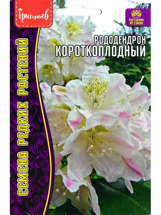 Рододендрон короткоплодный [Семена редких растений] купить с доставкой