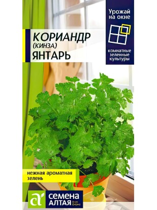 Кориандр Янтарь [Семена алтая]