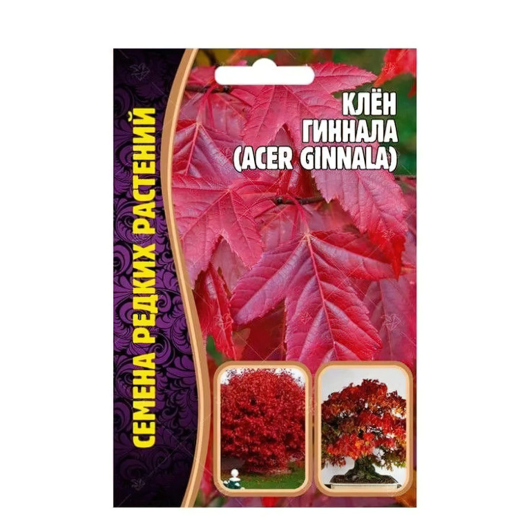 Клён Гиннала [Семена редких растений] купить с доставкой