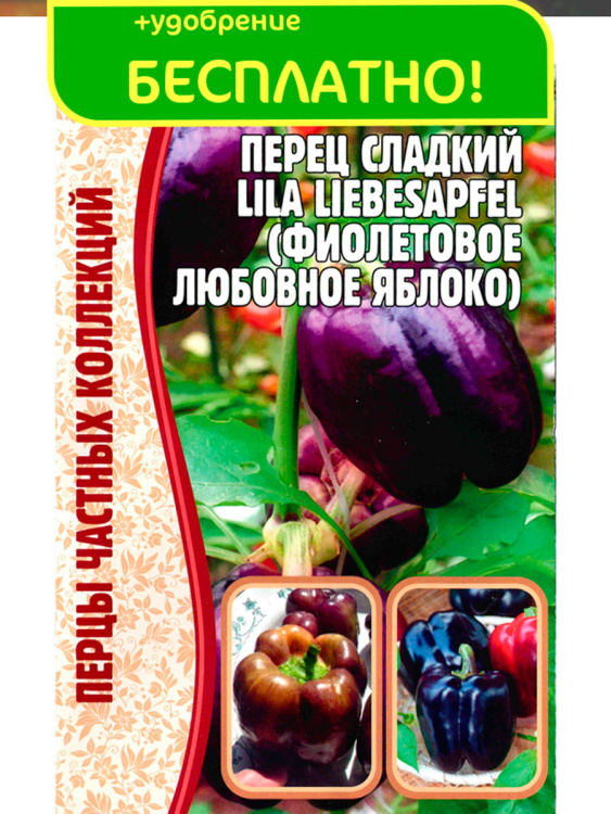Перец Lila Liebesapfel Фиолетовое любовное яблоко + подарок [Семена редких растений] купить с доставкой
