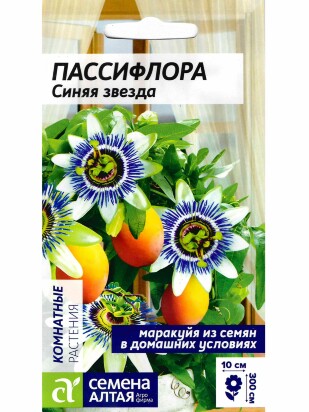 Пассифлора Синяя звезда [Семена алтая]